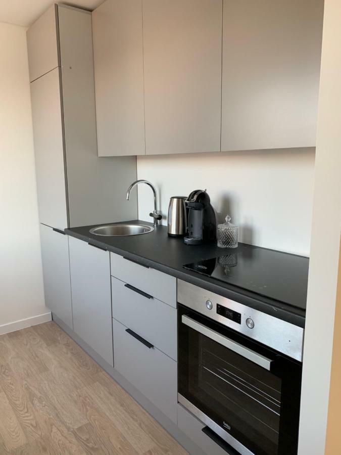 Good Night Apartaments Panevėžys Exteriér fotografie